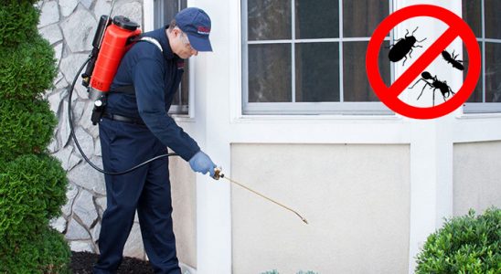 Gültepe Kene İlaçlama böcek ilaçlama ve haşere kontrolü — ilaclama-tr.com